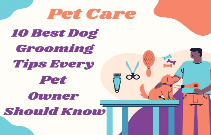 10 best dog grooming tips every owner should know