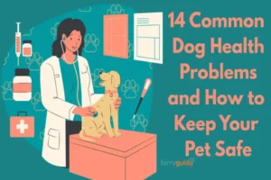 14 Common Dog Health Problems and How to Keep Your Pet Safe