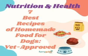 7 best recipes of homemade food for dogs-vet aprroved options