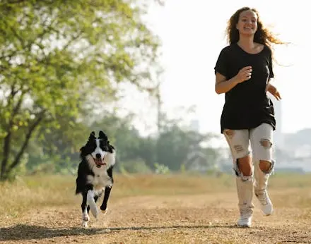 basic dog training for beginners 